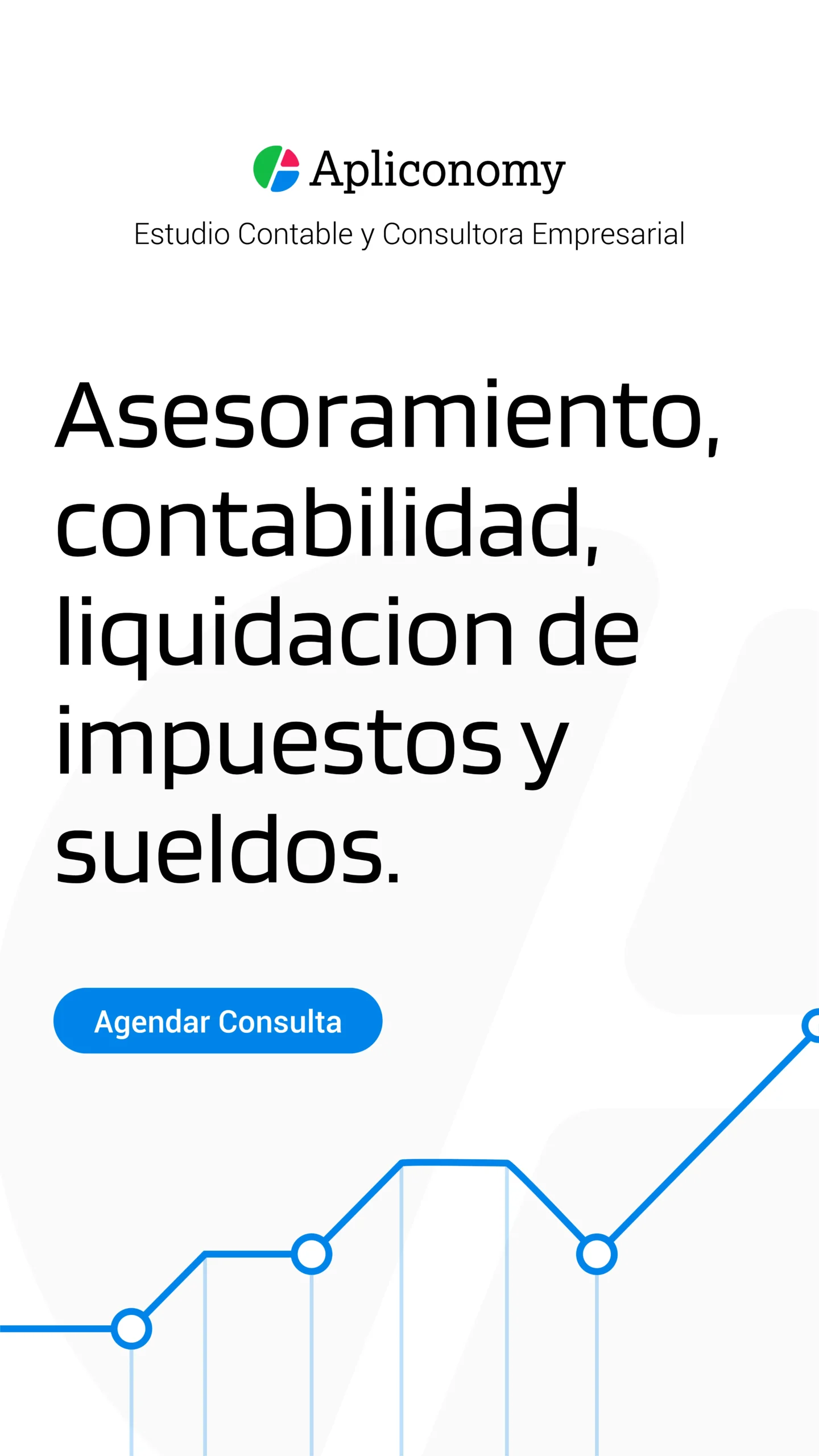 Apliconomy - Estudio Contable y Consultora Empresarial